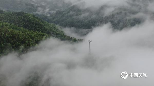云雾缭绕如仙境 湖南平江县连云山雨后美景
