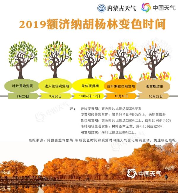 2019额济纳胡杨林观赏预报出炉 感受千年不朽胡杨的魅力