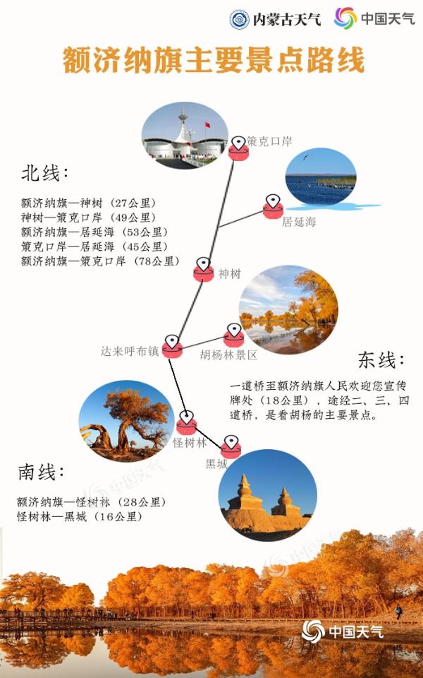 2019额济纳胡杨林观赏预报出炉 感受千年不朽胡杨的魅力
