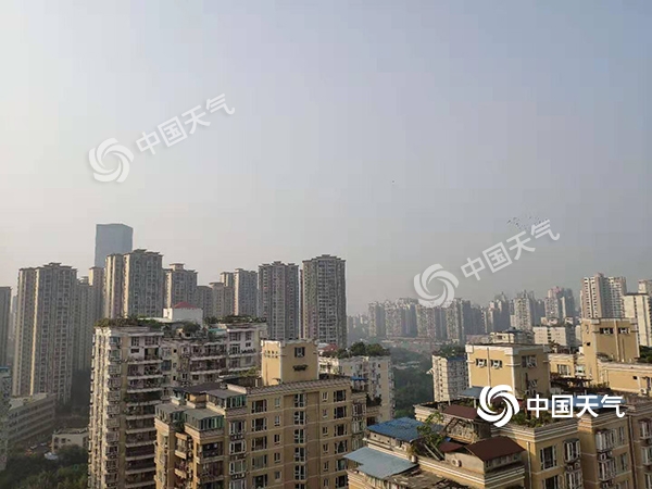 园博园菊展今日亮相山城 重庆今明晴好天气持续