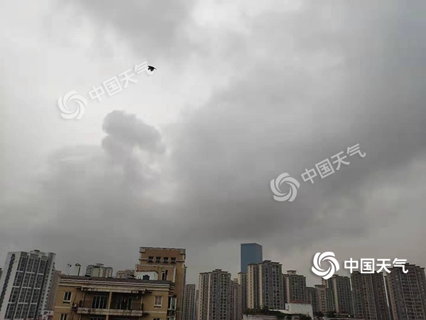 重庆今起三天阴雨为主 明日偏南部分地区有大雨