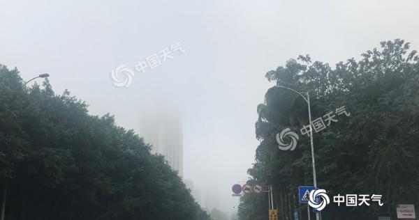 重庆多地大雾阻交通 明后天能见度转好昼夜温差大