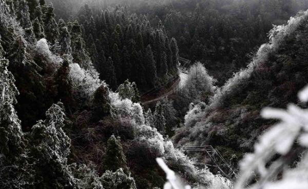重庆周末高海拔地区将飘雪 上山赏景需注意保暖