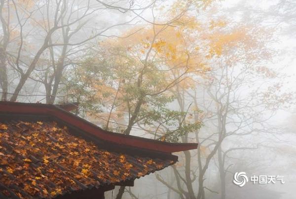 周末去哪儿玩？全国十大秋游地拍照指数新鲜出炉