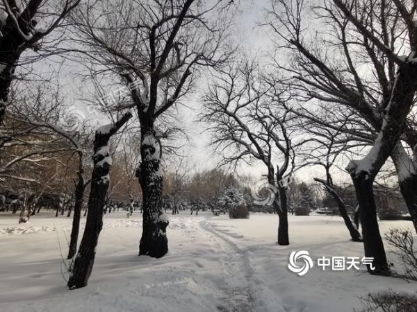 强降雪致黑龙江交通严重受阻 今日大部地区仍有道路结冰