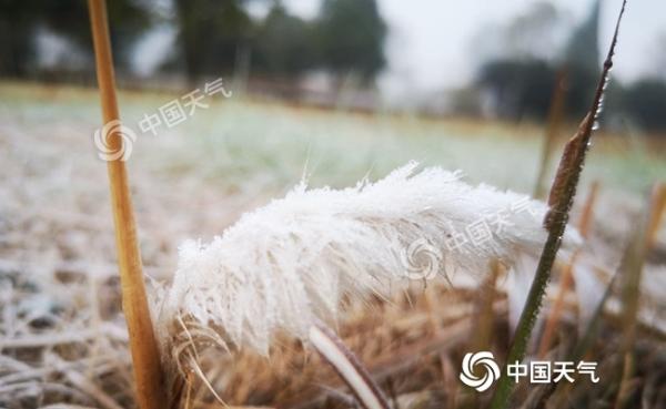 南方大范围降水拉开帷幕 北方雾霾扰出行