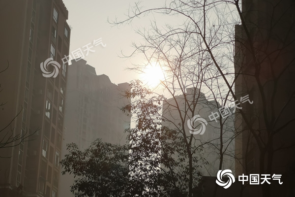 重庆持续回暖最高气温将冲22℃ 后天降雨降温