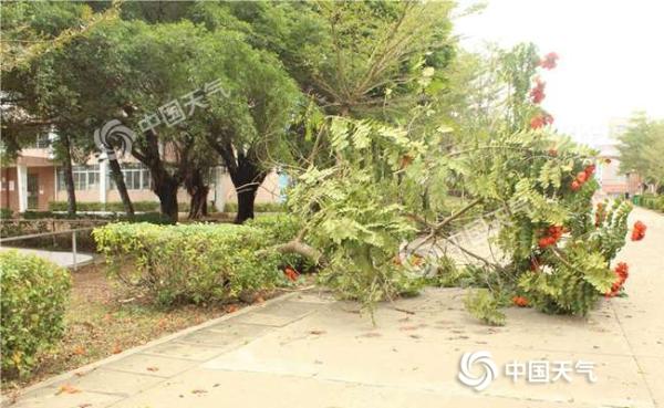 广东今明雨势猛烈局地大暴雨 16至17日气温“俯冲式”下降