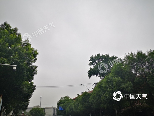 冷空气到访！北京再现大风天气 未来几天气温波动明显