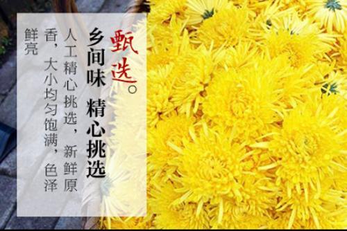 陶渊明和菊花茶：为啥田园生活离不开菊花茶？