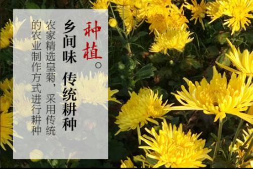 陶渊明和菊花茶：为啥田园生活离不开菊花茶？
