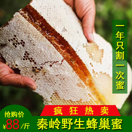 秦岭蜂巢蜜——嚼着吃的天然蜂蜜