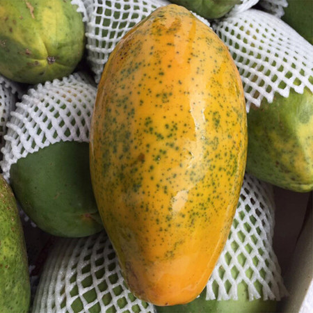 邮乐红心木瓜，云南特产值得期待