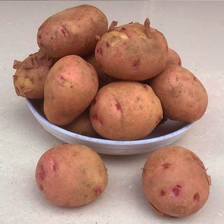 邮乐农家自产红皮黄心小土豆 美味营养好蔬菜