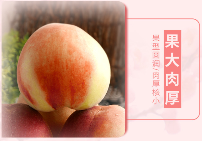 巨甜的脆桃——春梅桃，细腻多汁还好看！