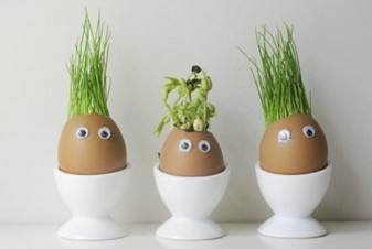 DIY鸡蛋，创意蛋壳让宝宝爱上鸡蛋！邮乐网
