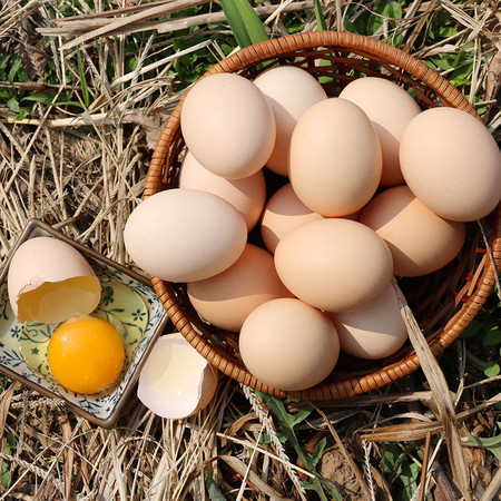 会炒鸡蛋不算会做饭？邮乐网教你6种炒鸡蛋法各个鲜香味美！