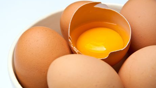 土鸡蛋vs洋鸡蛋，邮乐网告诉你真相