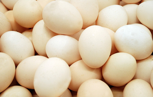 白皮鸡蛋与黄皮鸡蛋哪个更有营养些呢?邮乐告诉你