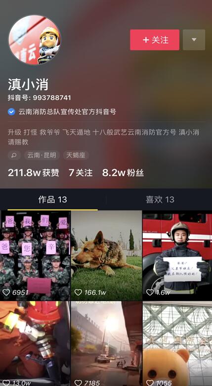 云南消防总队抖音记录汶川英雄犬，百万网友点赞落泪