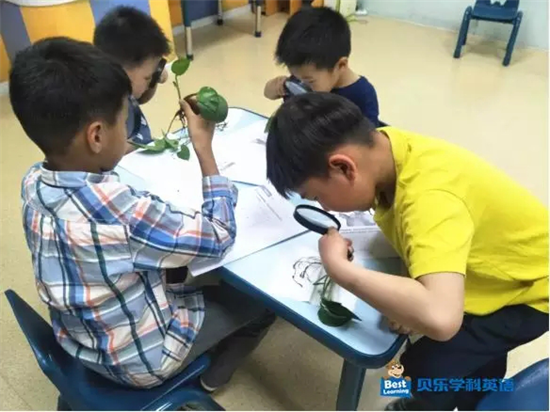 学科英语，如何改变中国孩子的英语教育？