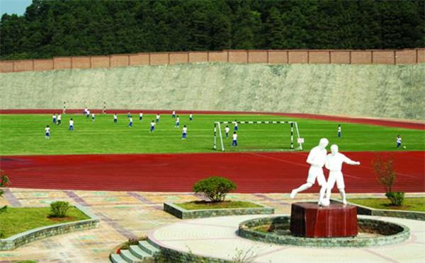 江西省西山学校培养足球精英 为世界杯梦想杨帆起航