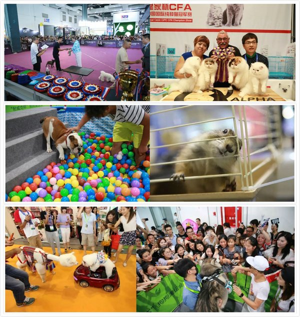 第二十一届亚洲宠物展将于8月22-26日在上海新国际举办