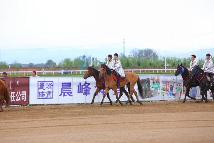 第五届内蒙古国际马术节系列活动—— 全国少数民族运动会选拔赛 · 中国速度马经典赛（呼和浩特站）雨中开赛