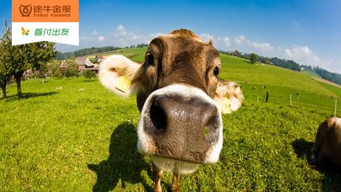 暑期旅游季 途牛带你玩转草原