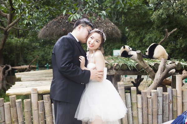 百对新人在长隆野生动物世界参加动物主题空中婚礼
