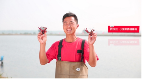 “综艺感最强小龙虾”，揭秘明星杨迪超爱的红小厨