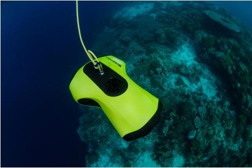 专访鳍源CEO张翀：打造水下智能拍摄的极致体验