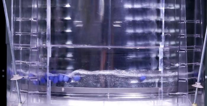 “蓝莓”视频解析：海尔免清洗洗衣机为何内桶不脏