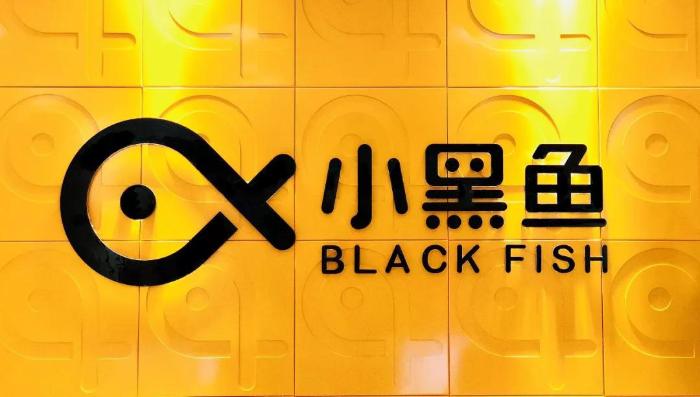 半年融资13亿人民币，注册用户860万，小黑鱼如何打造中国版Costco？