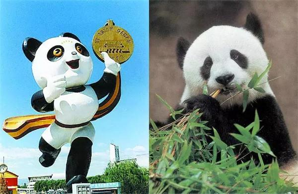 联合国教科文组织为何青睐大熊猫“巴斯”