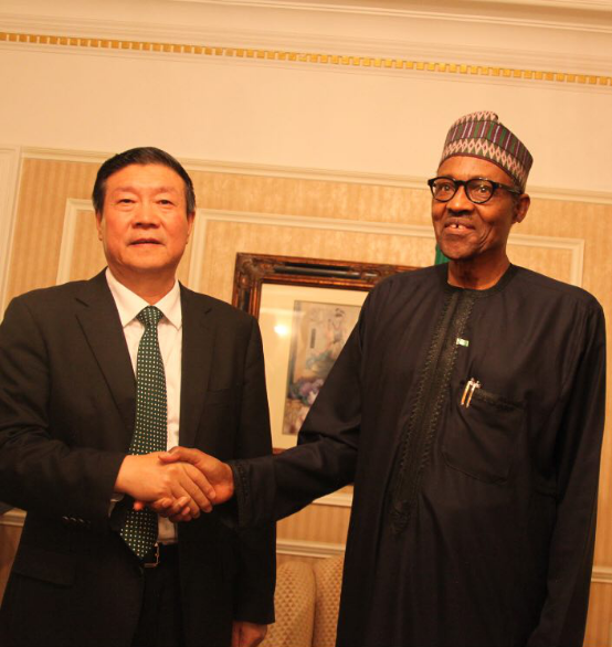 尼日利亚总统布哈里会见亿利集团董事长王文彪