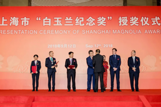 DP集团董事长王炜先生荣获上海市 2018年度白