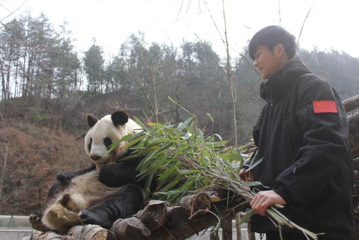 趣头条联合佛坪熊猫饲养员何鑫为熊猫庆生，助推乡村振兴