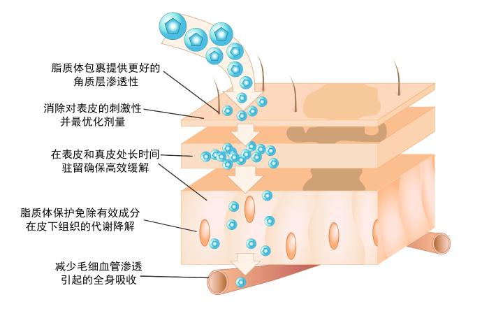 光希 USL透皮吸收技术进入中国，或引发养肤革命