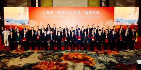 DP集团董事长王炜先生荣获上海市 2018年度白