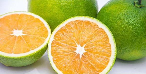 解锁橙子新吃法 可以吸的橙子“九月红”正式上线乐家诚品
