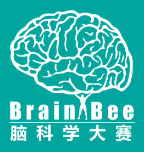 藤门国际教育获Brain Bee大赛粤渝赛区承办权