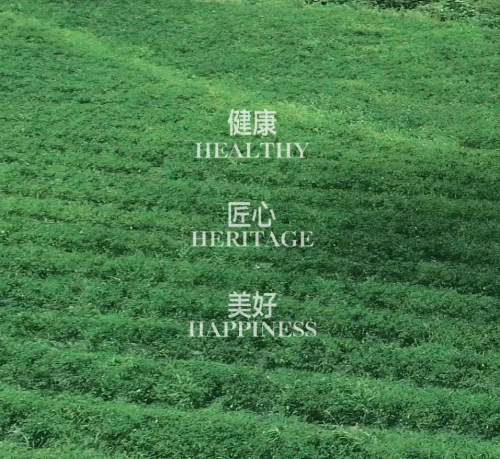 健康安心-杨国福的幸福味道