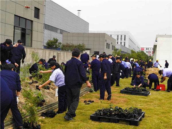 杭州优科豪马橡胶制品开展第四期“千年之林”活动