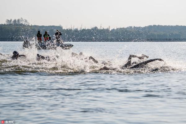 菲利佩·阿齐维多夺得2018 IRONMAN 70.3 上海崇明站冠军