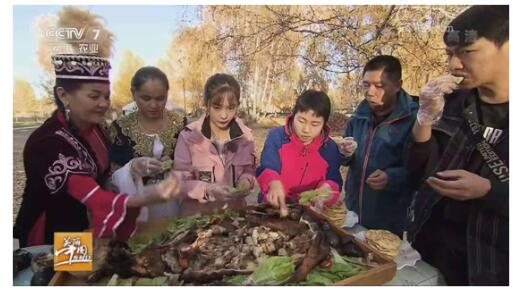 美丽中国乡村行——新疆青河县的石头真疯狂
