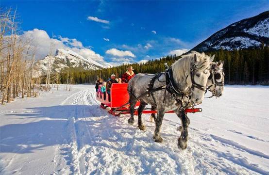 北半球雪季到来，皇包车旅行令冬日境外游“恒温”