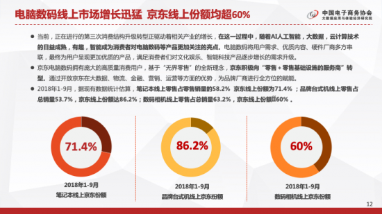 《中国电器线上市场分析报告》发布 京东电脑数码占比超六成