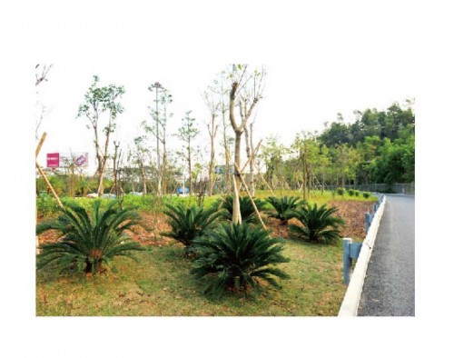 广田集团：构建城市里的绿色风景线