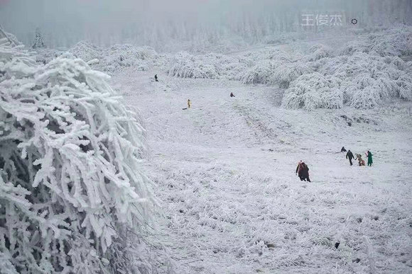 仙女山冰雪美景正当时，本周六就可滑雪